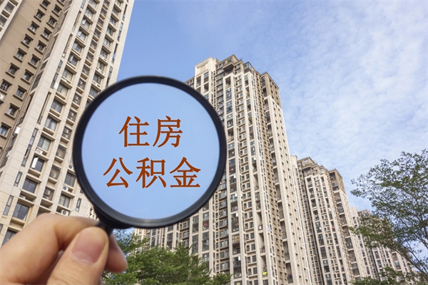 平阳个人公积金去哪儿取（住房公积金个人到哪里提取）